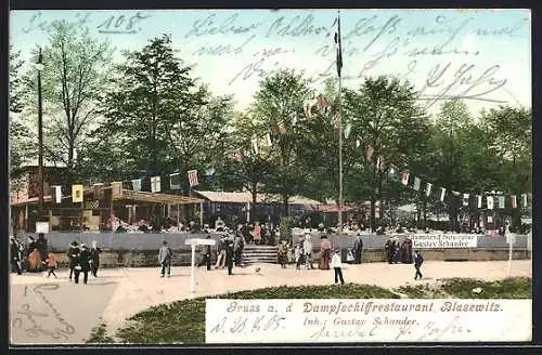 AK Dresden-Blasewitz, Dampfschiffrestaurant, Inh. G. Schander