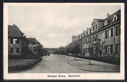 AK Dresden Gruna, Partie in der Baumzeile