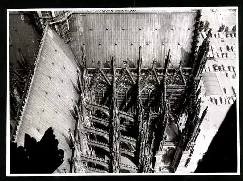 Fotografie Nordmark Film, Ansicht Köln a. Rh., Blick von oben auf das Chorstrebewerke des Kölner Dom