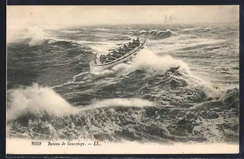 AK Seenotrettung, En Mer, Bateau de Sauvetage