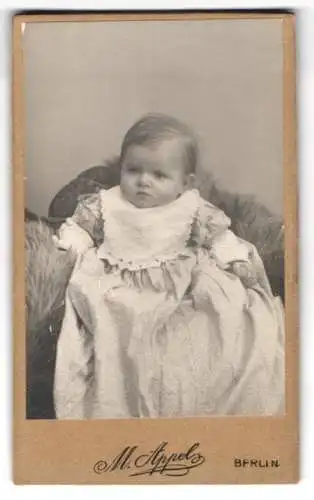 Fotografie M. Appel, Berlin, Neue Königstr. 2, Porträt eines Kleinkindes