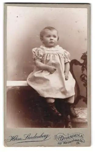 Fotografie Herm. Lindenberg, Dresden, Waisenhausstrasse 24, Porträt eines sitzenden Kindes