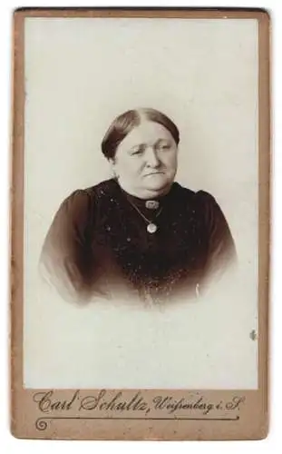 Fotografie Carl Schultz, Weissenberg i. S., Porträt einer Dame