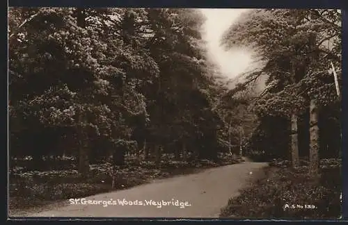 AK Weybridge, St. George`s Woods
