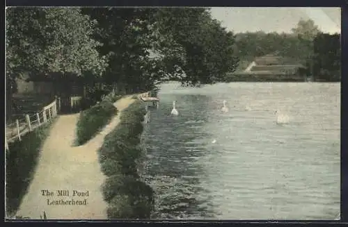 AK Leatherhead, The Mill Pond with Swans