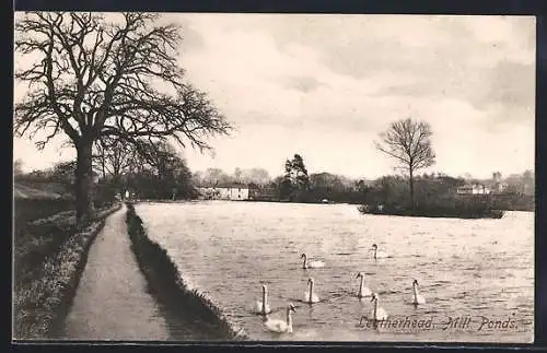 AK Leytherhead, Swans on Mill Ponds