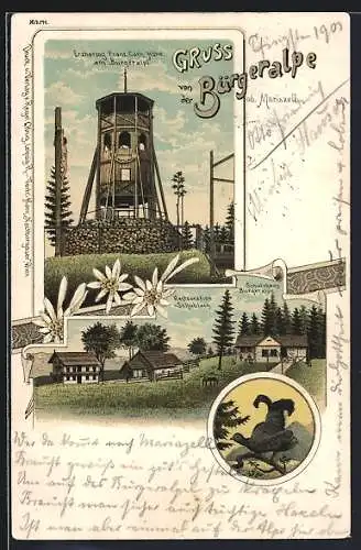 Lithographie Mariazell, Bürgeralpe mit Erzherzog Franz Carls-Höhe und Restauration Schublach