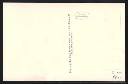 AK Saxen /O. Ö., Strassenpartie mit Gasthaus