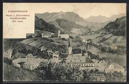 AK Waldhausen /Ob. Oest., Markt und Schlossberg, Teilansicht mit Kirche