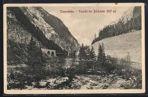 AK Böckstein /Tauernbahn, Ortspartie mit Viadukt