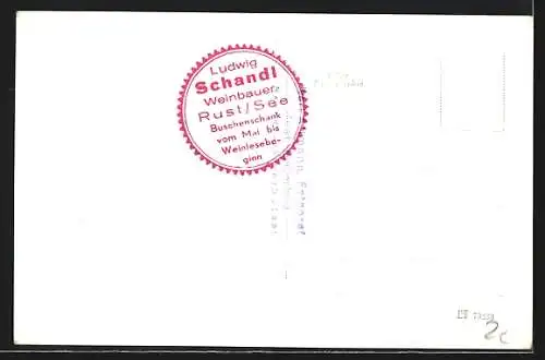 AK Rust am See, Kirche, Störche im Nest, Segelboot auf See