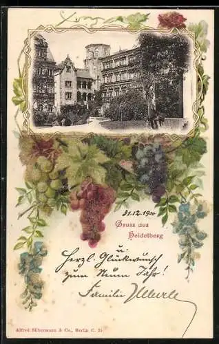 AK Heidelberg / Neckar, Partie im Ort und Weinreben