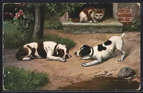 AK Zwei Terrier beäugen sich, Katze auf der Treppenstufe