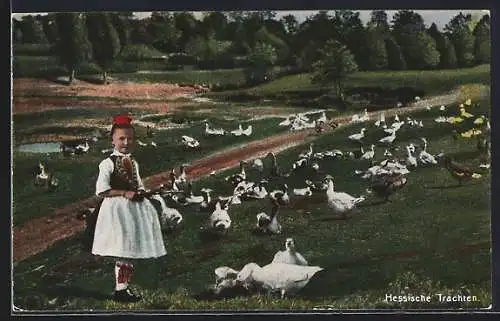 AK Mädchen in hessischer Tracht hütet Gänse