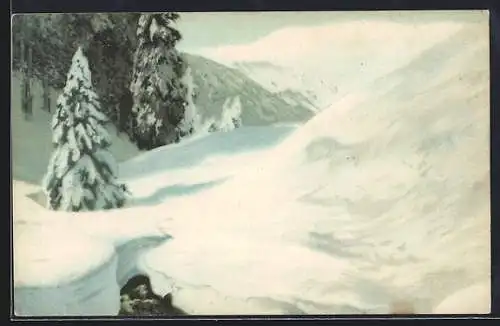 Künstler-AK Friedrich Iwan: Riesengebirge, Verschneites Brunnberg-Gebiet