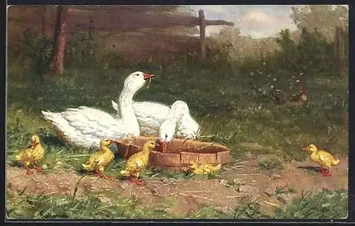 Künstler-AK Gänse mit Küken auf dem Bauernhof