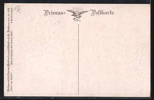 Künstler-AK Enten und Gänse