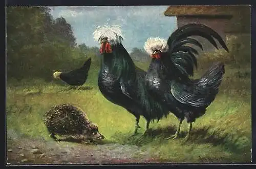 Künstler-AK August Müller - München: Hahn und Henne treffen einen Igel