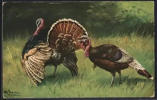 Künstler-AK Alfred Schönian: Truthähne in freier Wildbahn