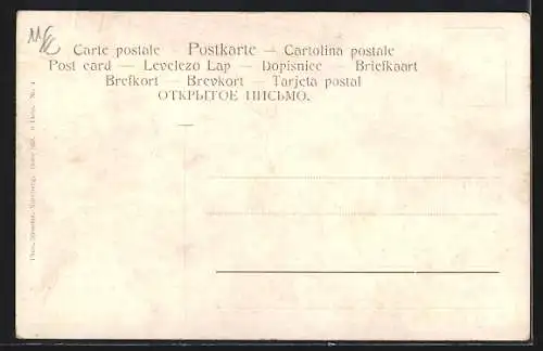 Künstler-AK Alfred Schönian: Truthahn und Henne