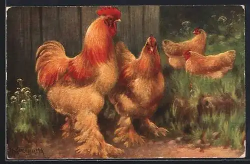 AK Gelbe Cochins, Hühner im Gras