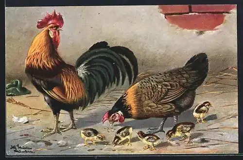 Künstler-AK Alfred Schönian: Hahn, Glucke und Küken