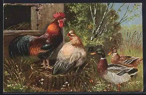 Künstler-AK Alfred Schönian: Hühner und Enten vor einem Stall