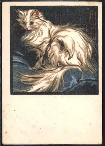 Künstler-AK Norbertine Bresslern-Roth: Katze mit weissem Fell