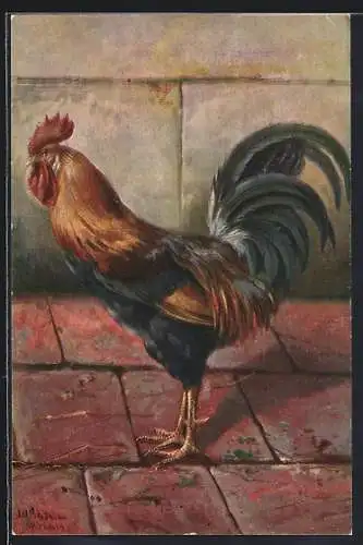 Künstler-AK Alfred Schönian: Hahn