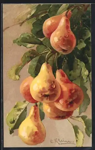 Künstler-AK Catharina Klein: Taufeuchte Birnen an einem Zweig