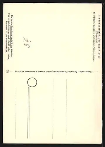 AK Siebenschläfer und Gartenschläfer, Geschützte Tiere der Heimat Nr. 38