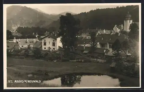 AK St. Aegyd a. Neuwald, Ortsansicht mit Bergpanorama von einem Teich aus