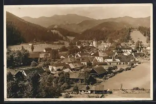 AK St. Aegyd a. Neuwald, Teilansicht vom Markt mit Göller