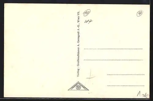 AK Wien, Strassenansicht mit A. Gerngrossaktiengesellschaft