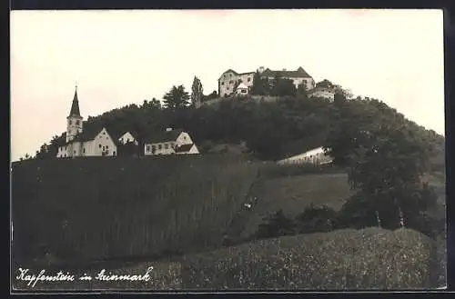 AK Kapfenstein, Blick auf Schloss Kapfenstein