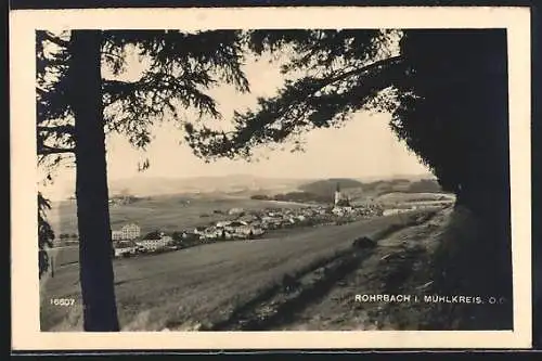 AK Rohrbach /Mühlkreis, Ortschaft vom Berg aus gesehen