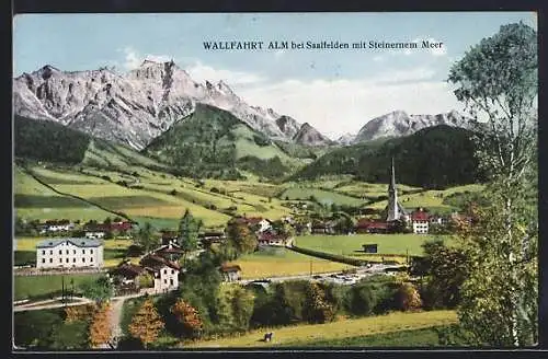 AK Alm, Talpanorama mit Steinerem Meer