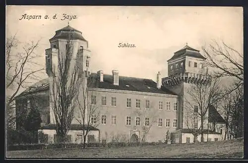 AK Asparn /Zaya, Das Schloss