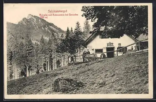 AK Gmunden /Salzkammergut, Meiralm mit Katzenstein