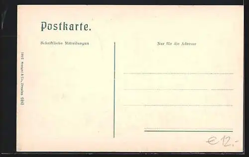 AK Pettneu, Panorama mit Riffler