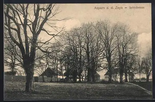 AK Asparn a.d. Zaya, Schlosswiese
