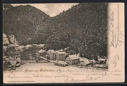 AK Gutenstein, Teilansicht mit Strassenpartie im Winter
