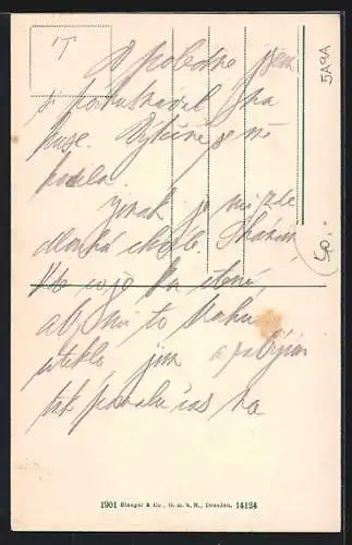 AK Mayrhofen im Zillertal, Das Gasthaus Hochsteg