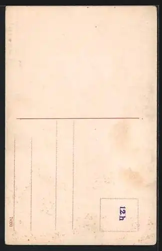 Künstler-AK Eugen Felle: Linz a. Donau, Die Donau von Passau bis Wien, Vogelschaubild, Linz, Pöstlingberg