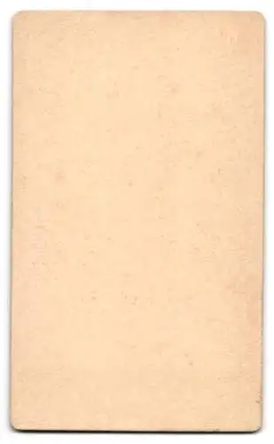 Fotografie Oldenburger, Zürich, Soldat in Uniform mit Schwalbennestern vom Rgt. No. 78
