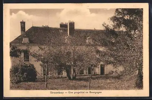 AK Tronchoy, Une propriété en Bourgogne