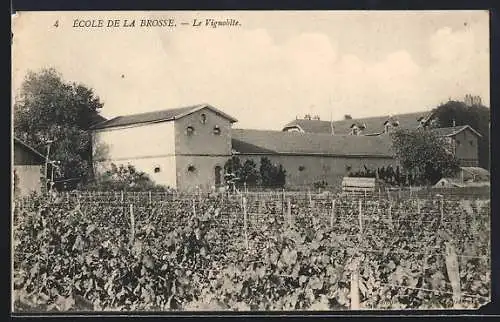 AK Venoy, École de la Brosse, Le Vignoble