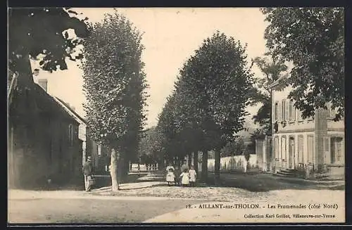 AK Aillant-sur-Tholon, Les Promenades, côté Nord