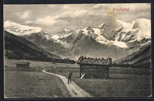 AK Fusch / Fuschertal, Ortspartie mit Feldweg