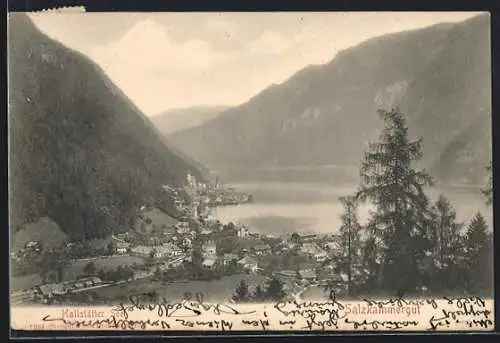 AK Hallstatt, Hallstätter See, Totalansicht vom Berg aus